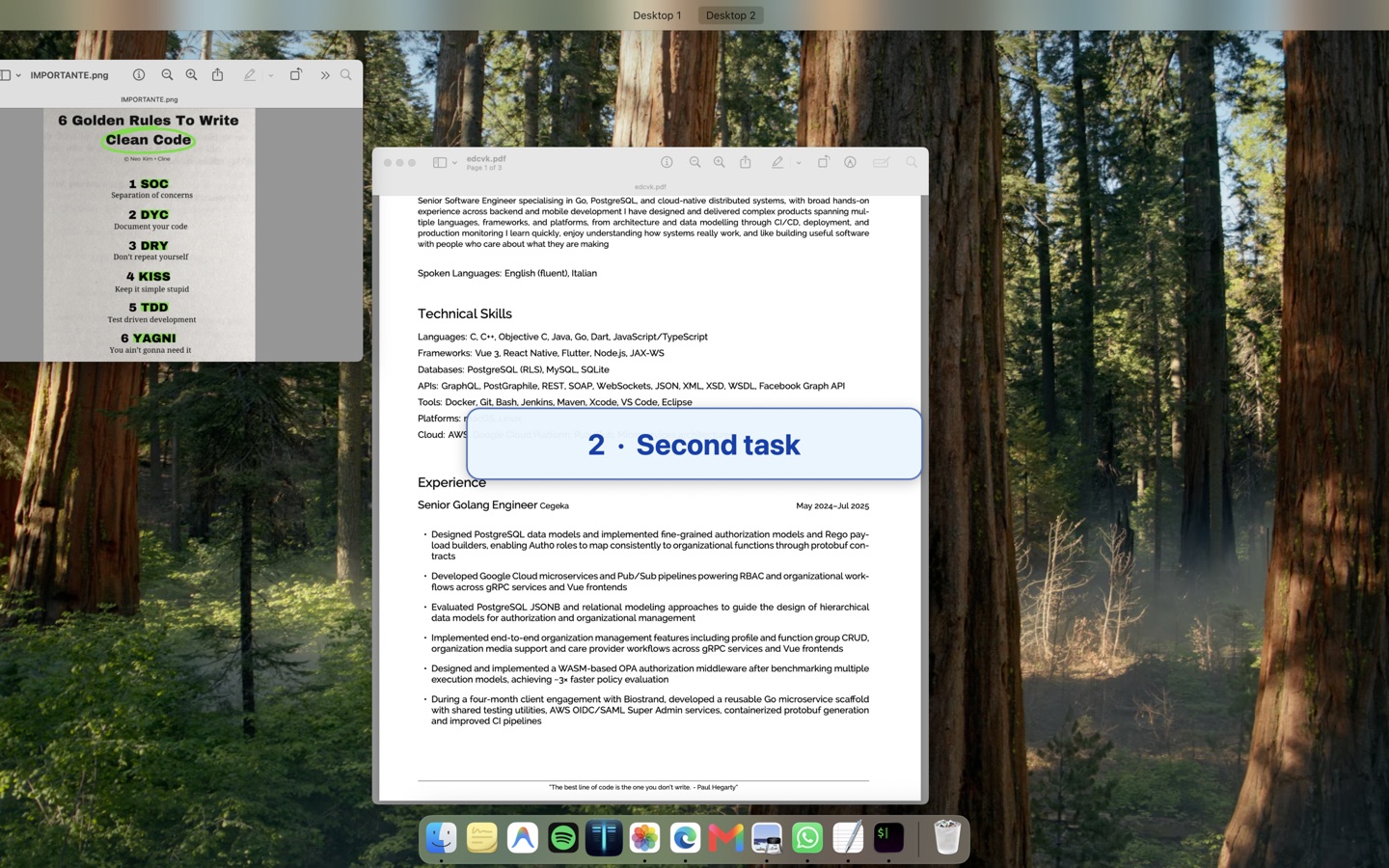 Task showing a named Space in macOS Mission Control